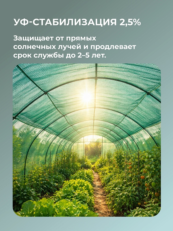/upload/resize_cache/iblock/771/800_800_0/ivpxsinr26tms5sge4ofkuy1zv2rzjv0.jpg